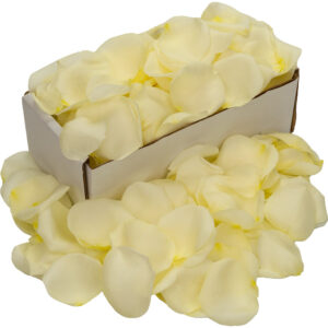 1 Box of White (Avalanche) Rose Petals