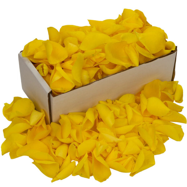 1 Box of Yellow Rose Petals