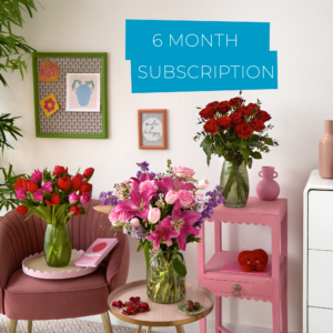 Valentine's 6 Month Flower Subscription